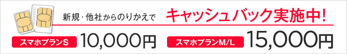 15000円 キャッシュバック